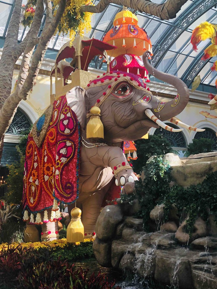 Elefante de Flores