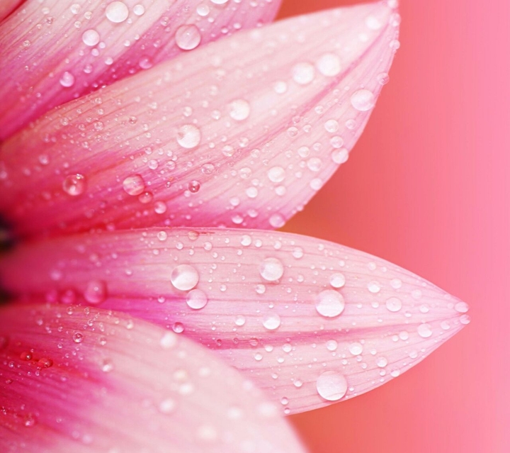 Droplet flower