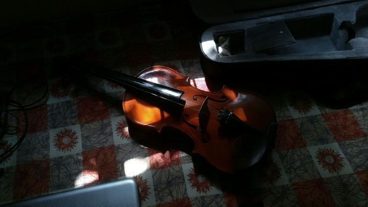 Random Sunlight on violin