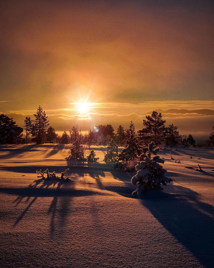 winter sunset