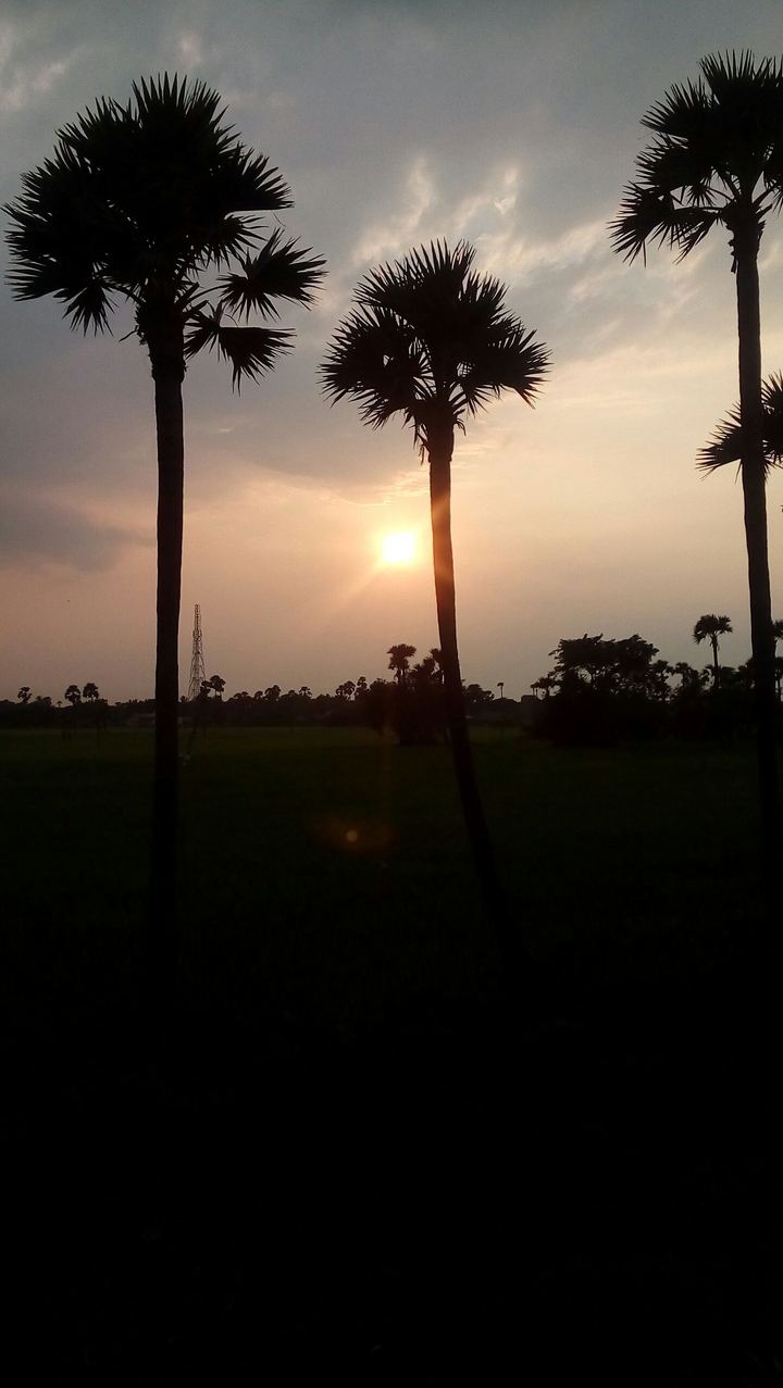 ☀