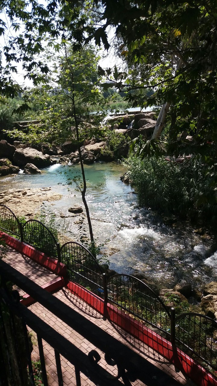Manzara