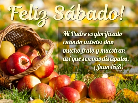 Feliz Sábado!