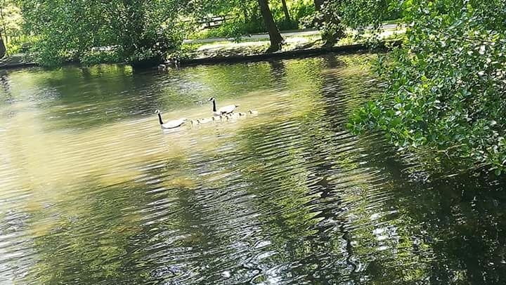 journée au parc