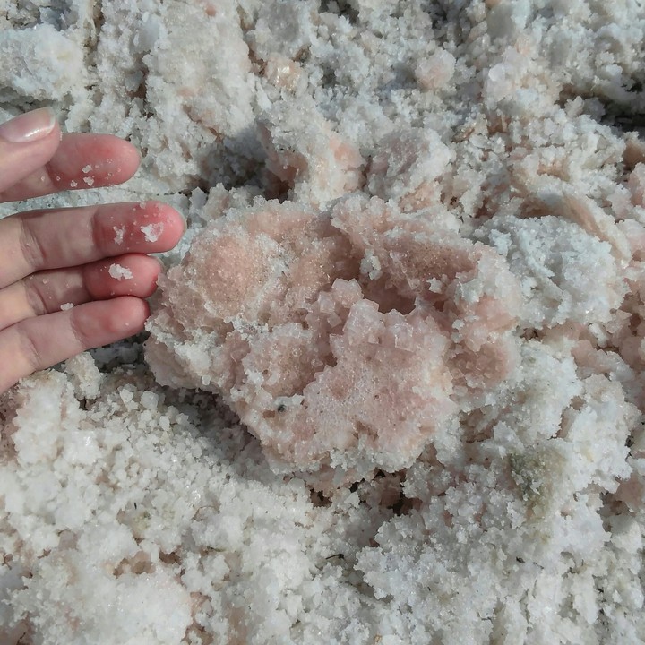 Pink lake