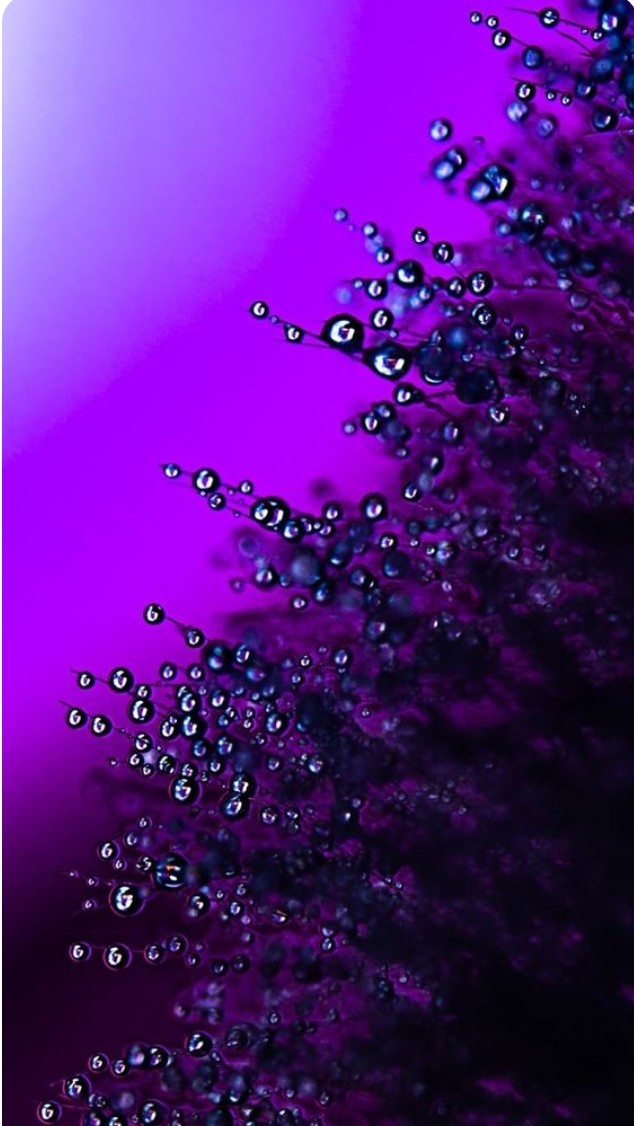 color