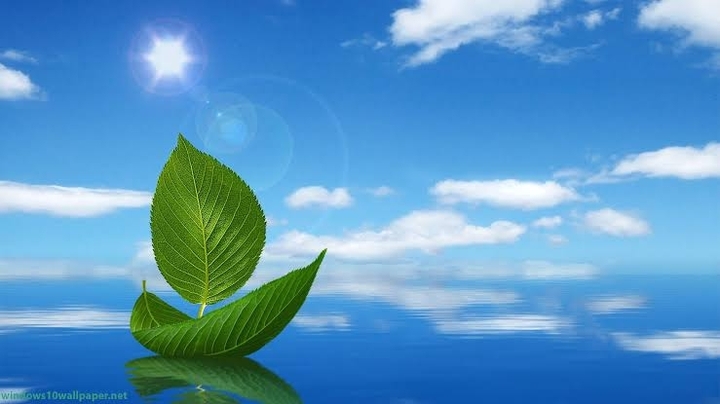 Boat'Leaf
