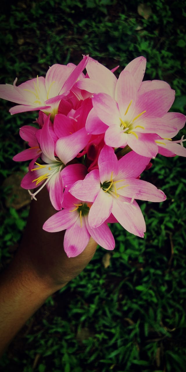 #pink_grl