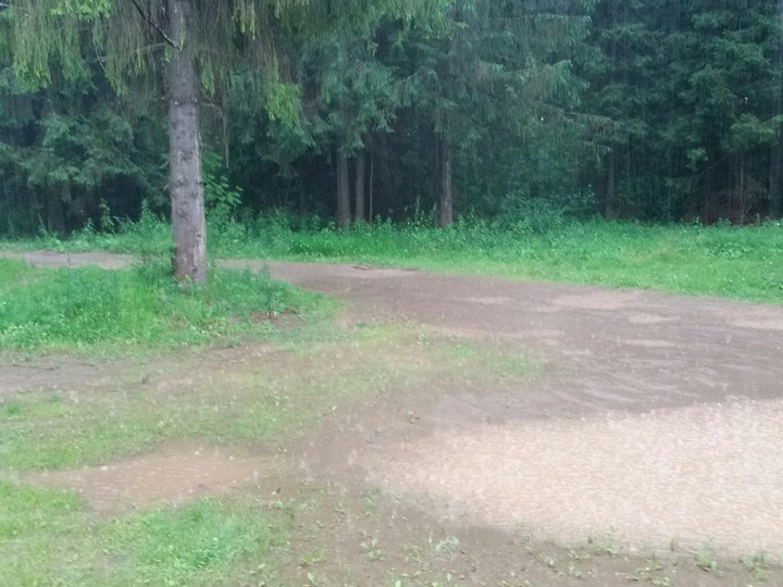дождь на лесных тропинках