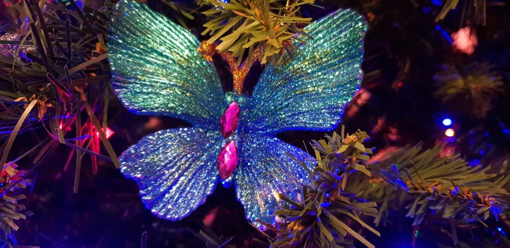 Christmas Beauty