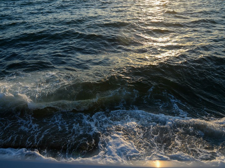 Wave