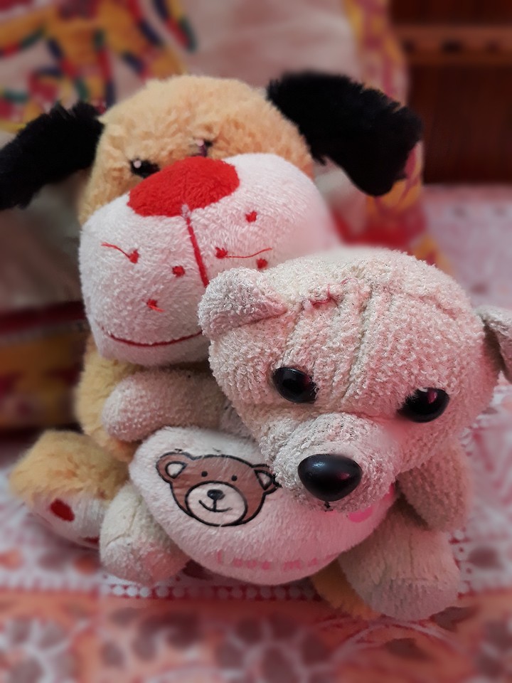 teddy bear