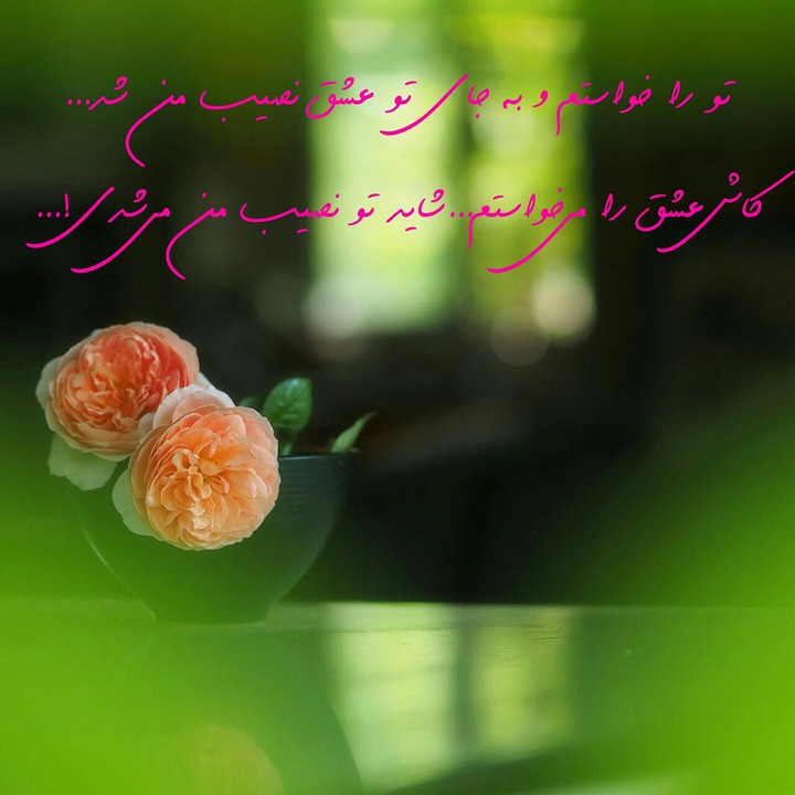 وصف عاشقی