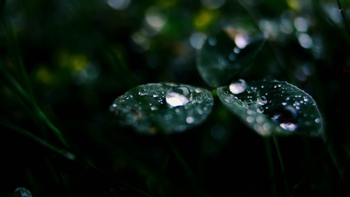 Waterdrop3