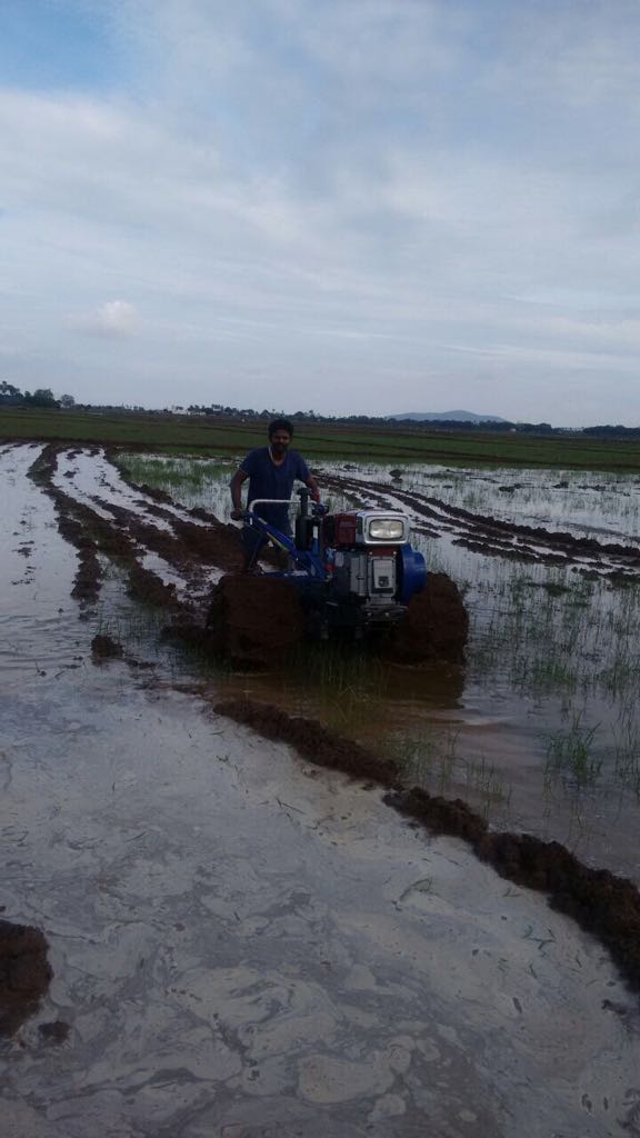 Farmer