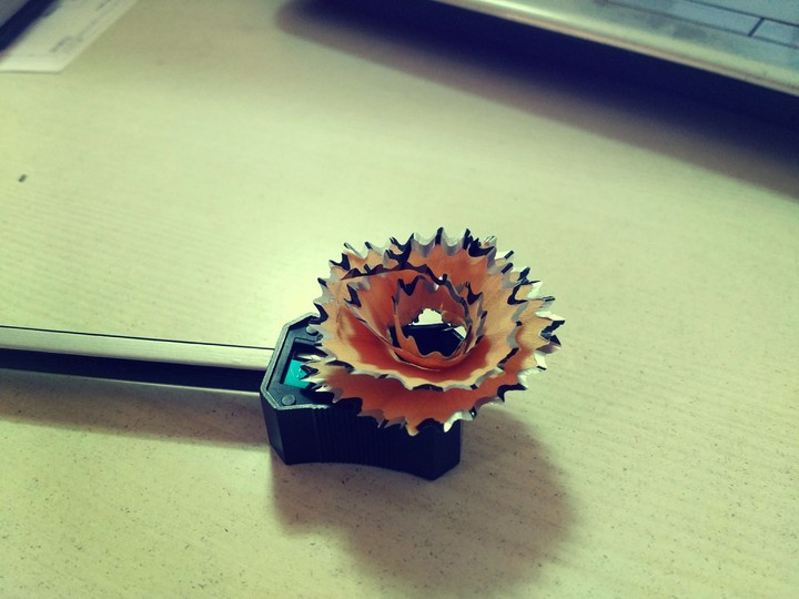 pencil flower