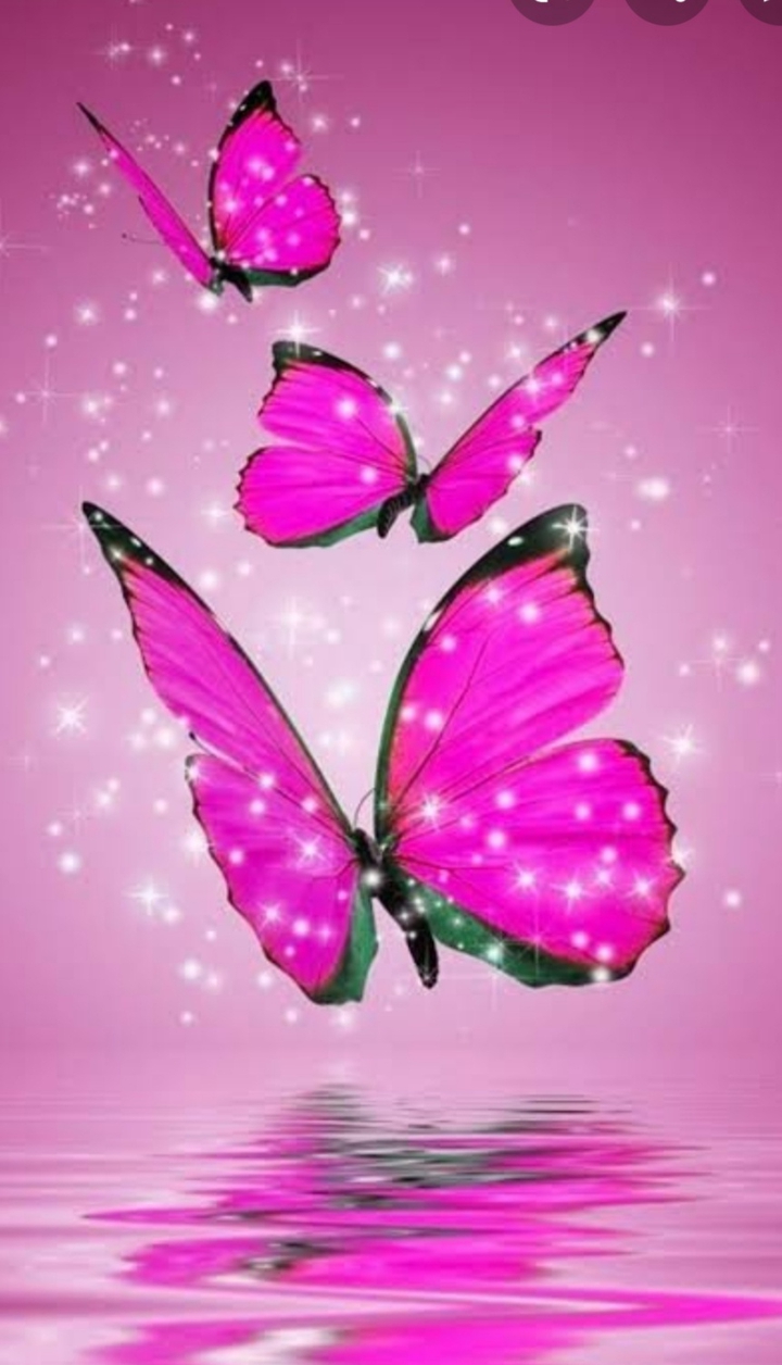 pink shining butterflies