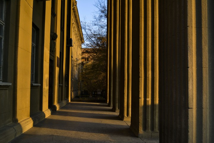 lines