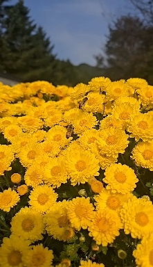 가을