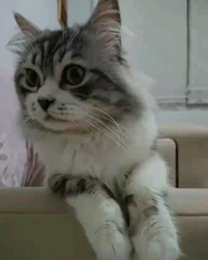lovely