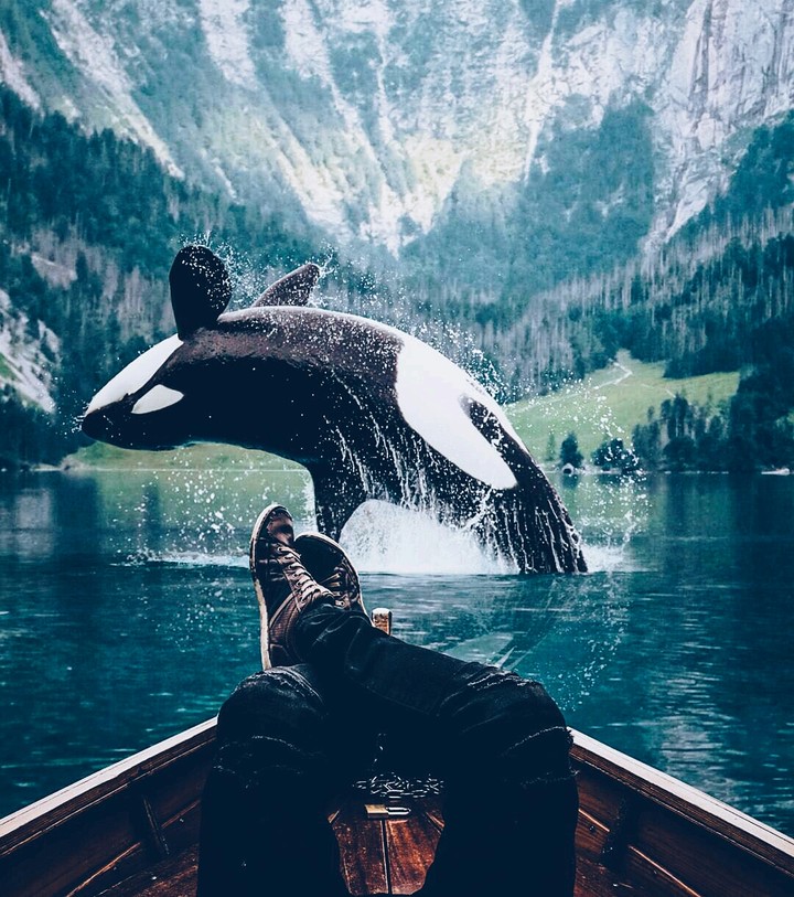 wall