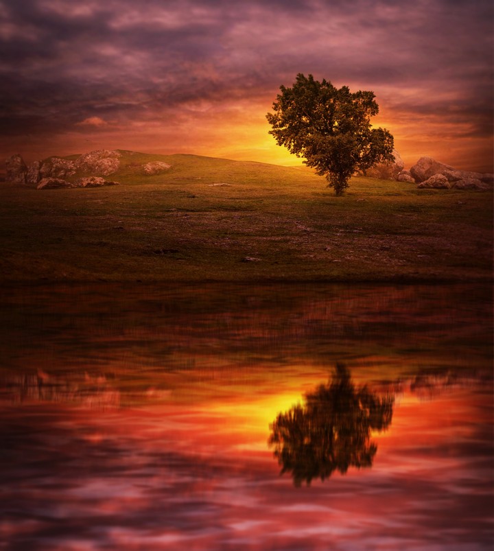 Reflect