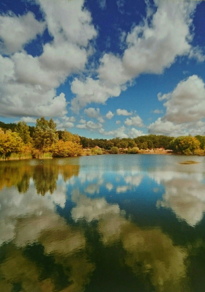 REFLECTIONS