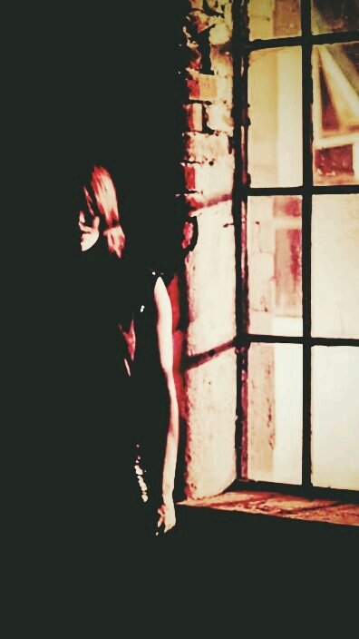 Window