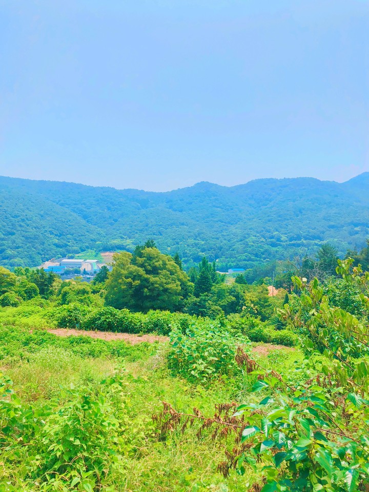 산