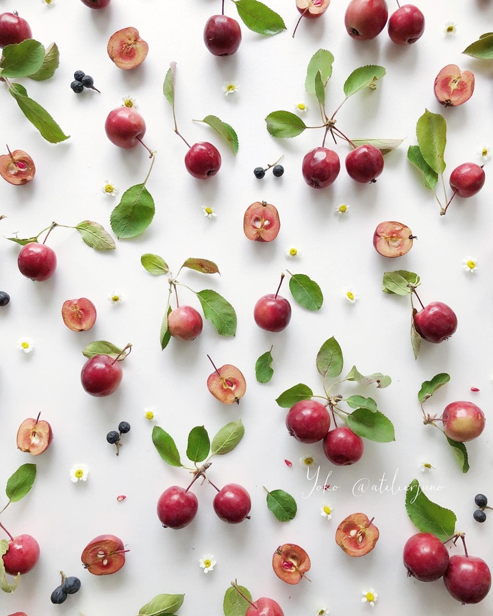 Fruits