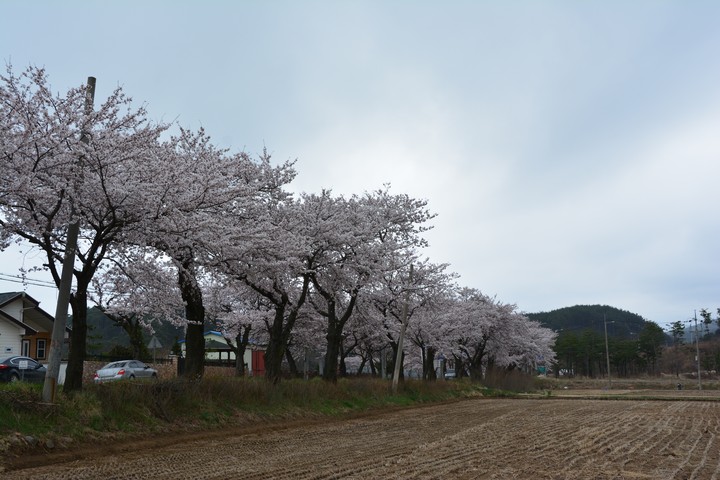 풍경이미지