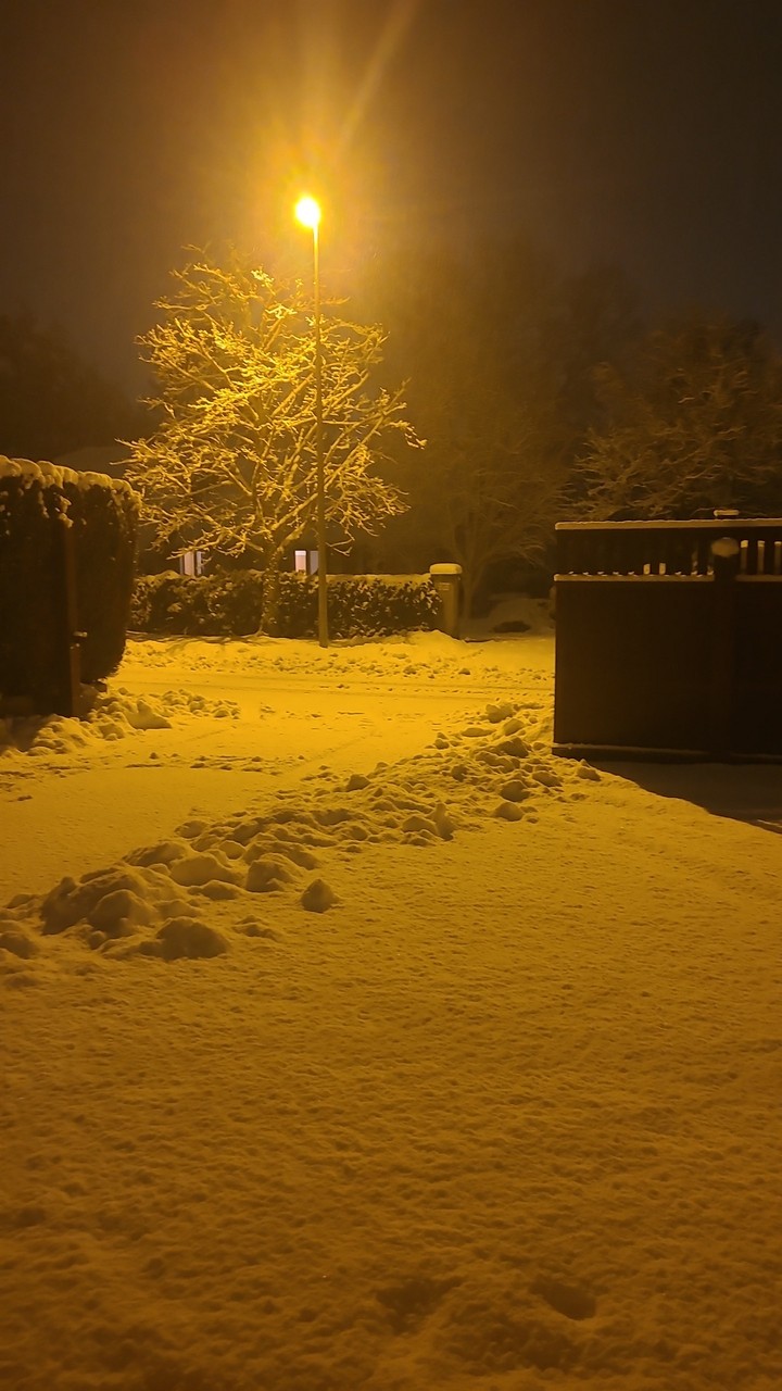 Snow night