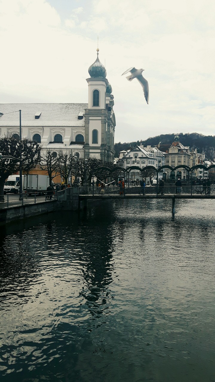 lucerna