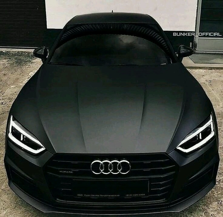 para todos os gatos que gostam de carros