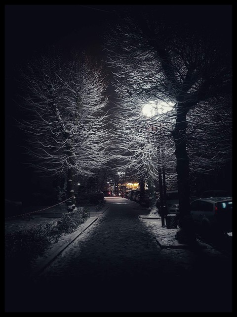 Winter city