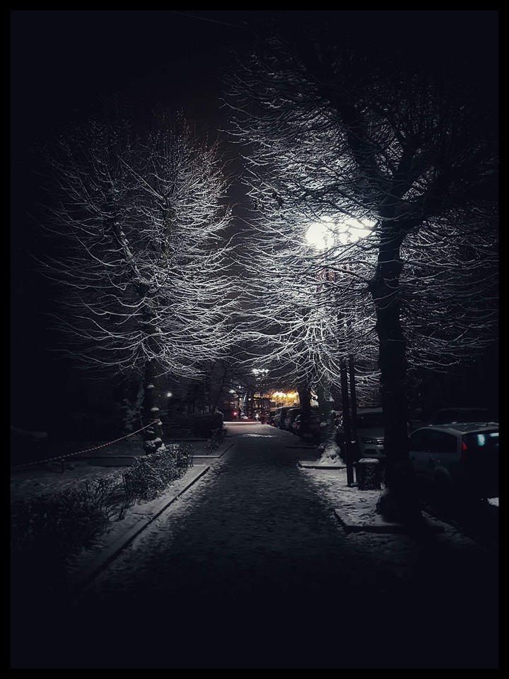 Winter city