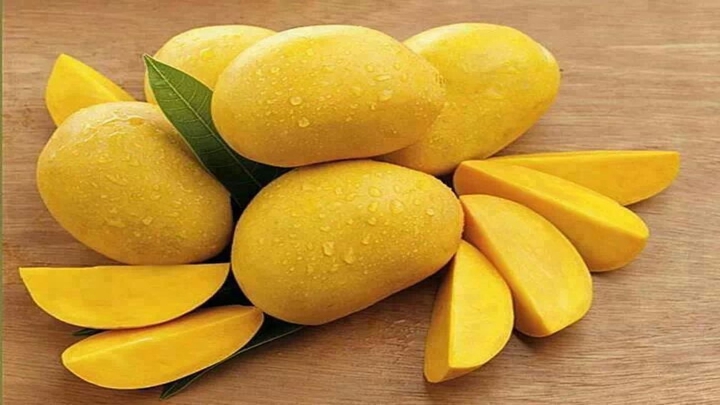 Mango 6