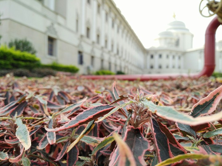 Satya Sai Hospital, Whitefield, Bangalore.