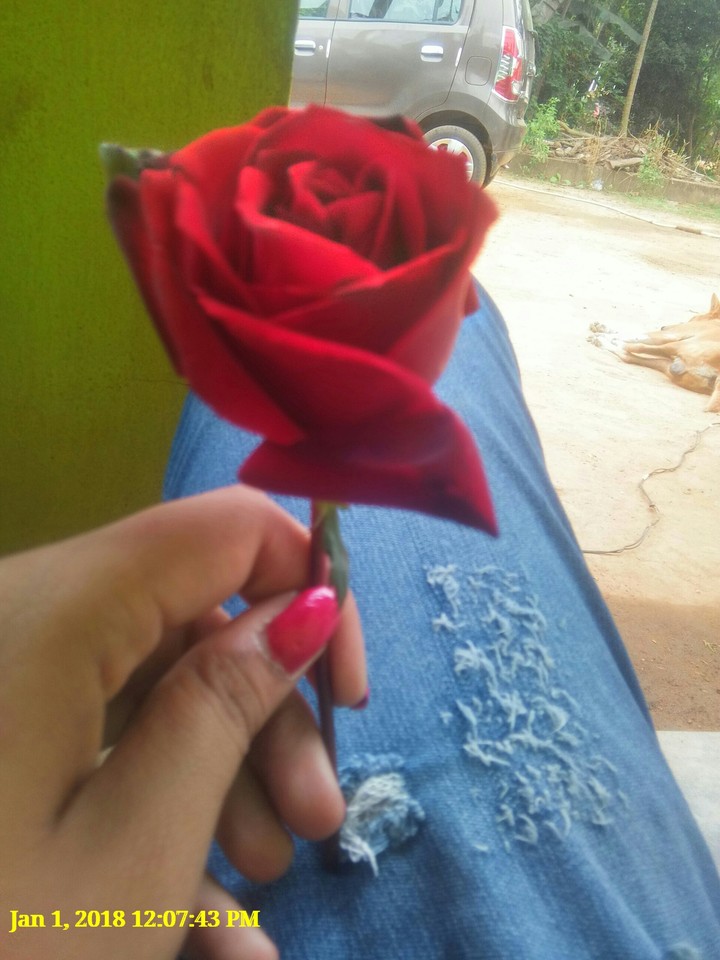 rose...