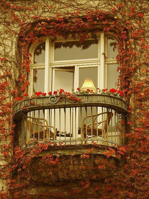 Peaceful place