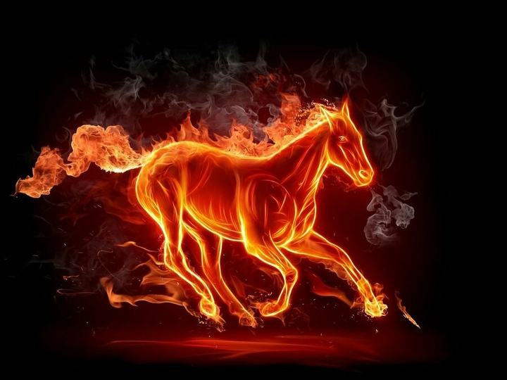 horse