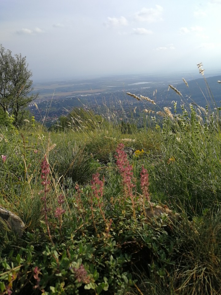 On the top