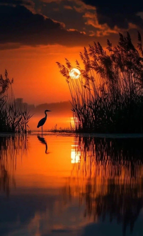 sunset, reflection wallpapers