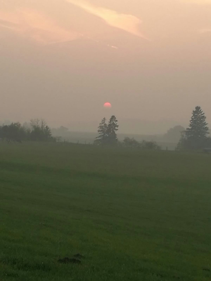 Germany(Deutschland)