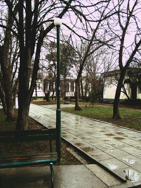 Скамейка и фонарь