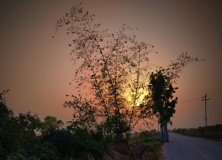 Sunset