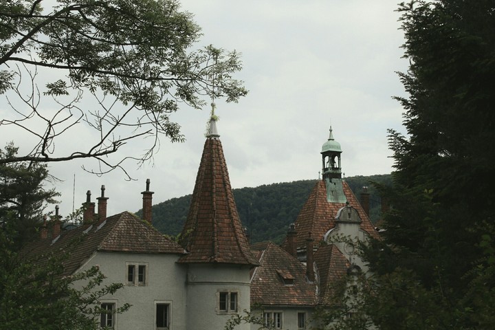 Marvellous castle in the mountains