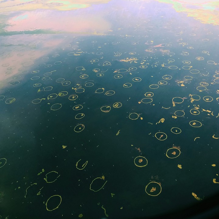 Floating lake