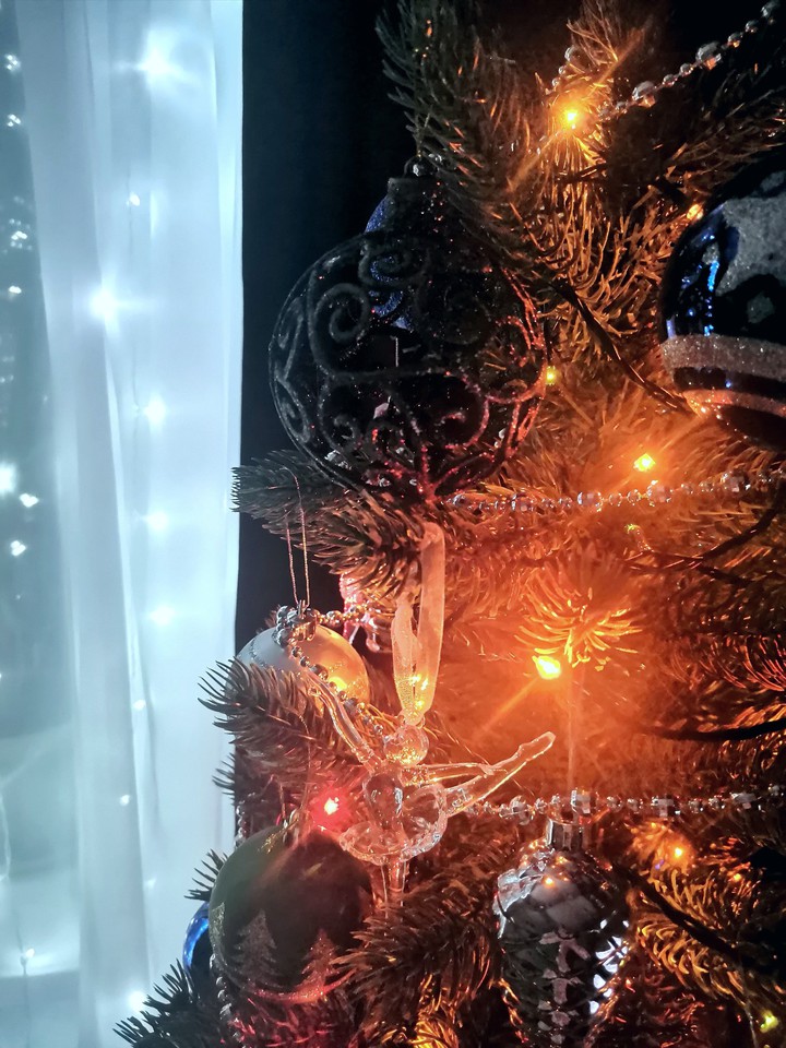 Mary christmas