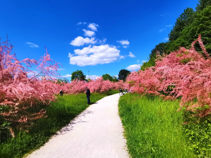 ××× beautiful nature ×××